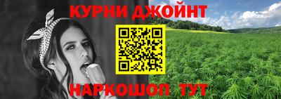 стаф Жуковский