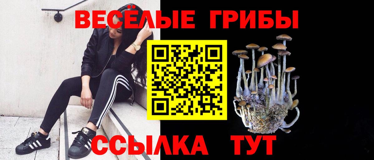 Лениногорск  Псилоцибиновые грибы Psilocybe  Псилоцибиновые грибы прущие грибы  Вход с VPN 